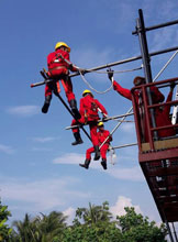 Services - Training Provider
